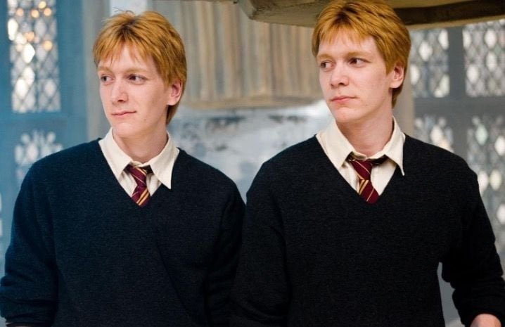 gemeos- A Nova Série de Harry Potter: Tudo o que Você Precisa Saber para se Preparar para a Magia